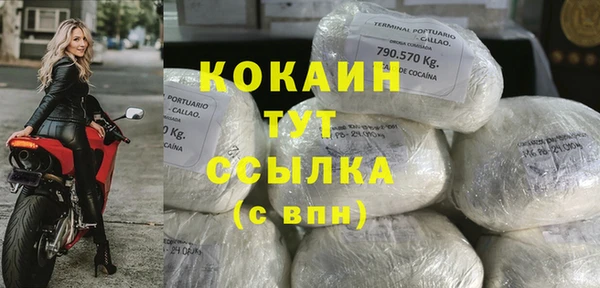 PSILOCYBIN Нефтегорск