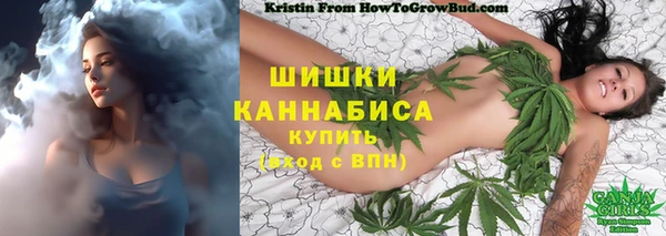 крисы Нефтекумск